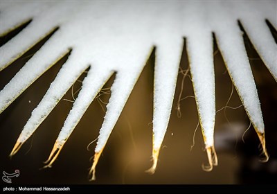 Early Snow Blankets Tehran