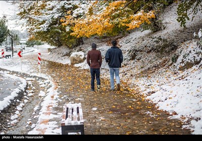 بارش برف در گرگان