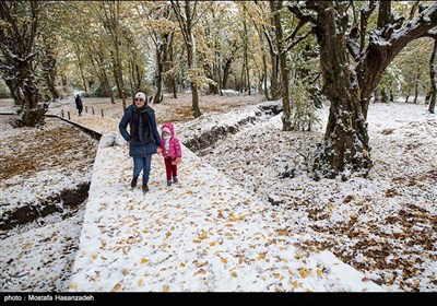 بارش برف در گرگان