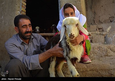 مهاجرت اهالی روستای قادرمرز - کردستان
