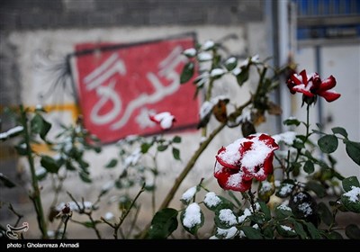 الثلوج فی مدینة بهشهر- مازندران