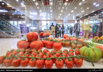 نمایشگاه بین المللی باغبانی،نهادها،گلخانه،گیاهان دارویی ماشین آلات و صنایع وابسته