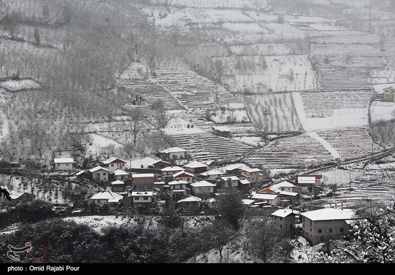 شمال کشور یخ بست/ قطع گاز صنایع برای جبران گرمایش خانگی/ گاز نانوایی‌ها و جایگاه‌های CNG قطع شد