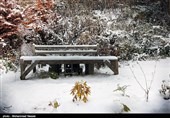 بارش برف در روستای زیارت - گلستان