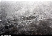 بارش برف در روستای زیارت - گلستان