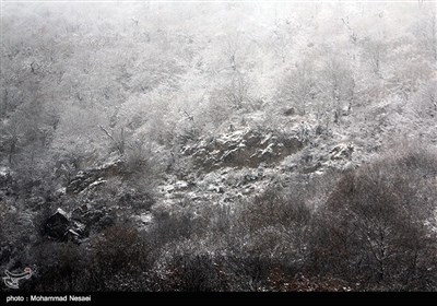 بارش برف در روستای زیارت - گلستان