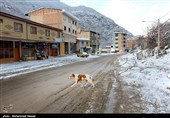 بارش برف در روستای زیارت - گلستان