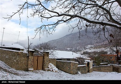 بارش برف در روستای زیارت - گلستان