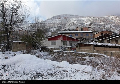 بارش برف در روستای زیارت - گلستان