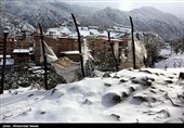 بارش برف در روستای زیارت - گلستان