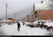 بارش برف در روستای زیارت - گلستان