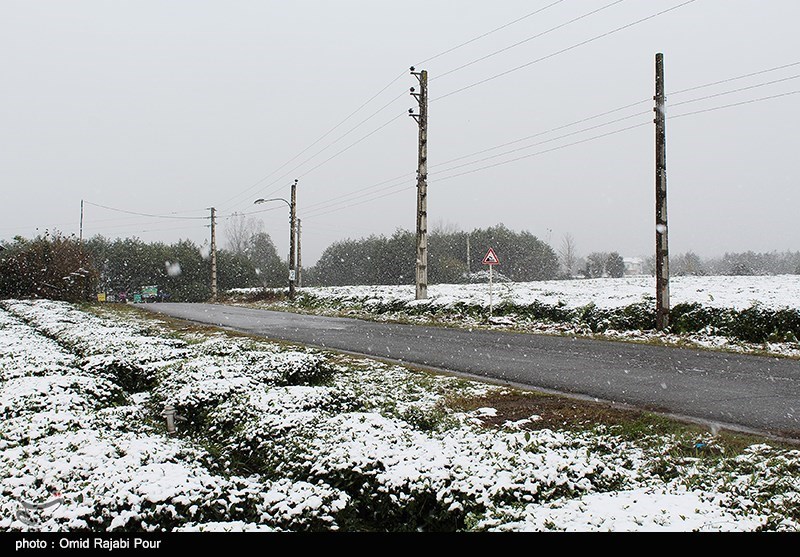 27 سانتی‌متر برف امروز در استان گلستان بارید