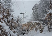 قطعی برق ناشی از برف در استان گیلان برطرف شد
