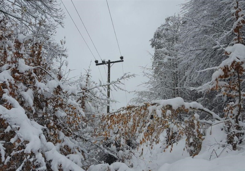 بازسازی خسارت‌های ناشی از بارش برف در شبکه برق البرز ادامه دارد+عکس