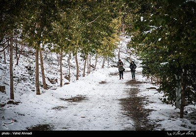 تهران پس از بارش برف