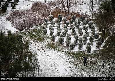 تهران پس از بارش برف