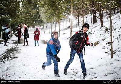 تهران پس از بارش برف