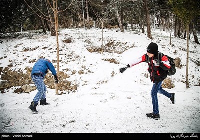 تهران پس از بارش برف