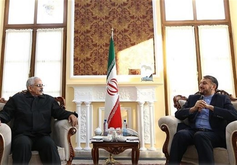 Iranian, Mauritanian Officials Discuss Parliamentary Ties