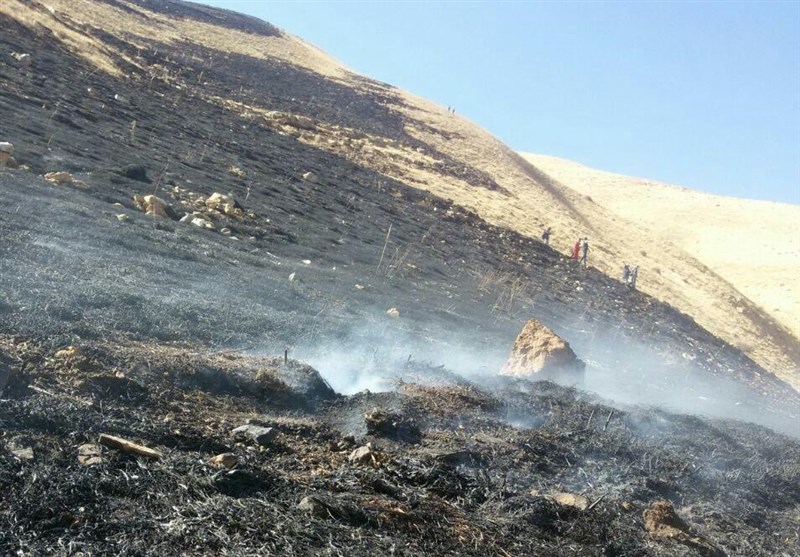حدود 40 هکتار از اراضی جنگلی گالیکش در آتش سوخت