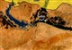 نقشه الرقه
