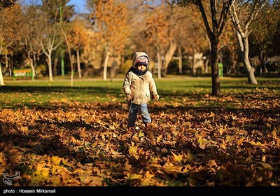 پاییز در قزوین