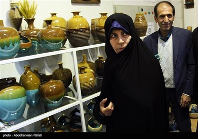 سفر زهرا احمدی‌پور رئیس سازمان میراث فرهنگی و گردشگری به همدان