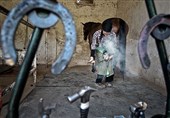 کفش برای اسبها