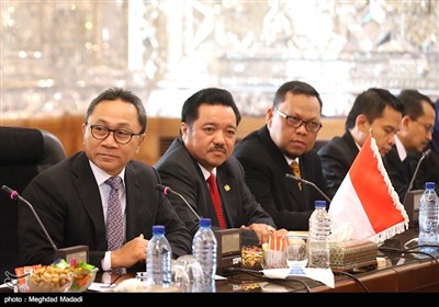 دیدار رئیس مجلس مشورتی اندونزی با لاریجانی