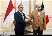 رئیس مجلس مشورتی اندونزی با لاریجانی