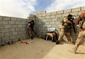 شکست داعش در عراق و سودای بازگشت به سوریه
