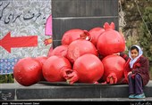 جشنواره انار اشرف بهشهر گامی برای حمایت از تولیدات کشاورزی مازندران