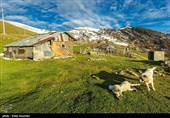 طبیعت پاییزی ییلاقات گیلان