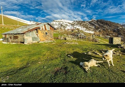 ایران کے صوبے گیلان کے ٹھنڈے اور خوشگوار علاقوں کی چند تصاویر