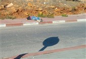 فلسطین
