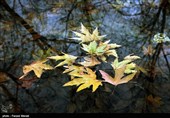 پاییز در کرمانشاه