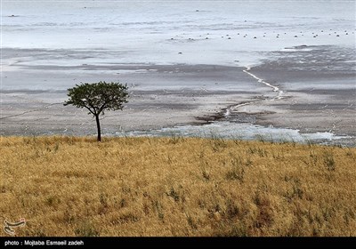 جفاف بحیرة ارومیة فی ایران