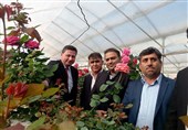 بلغارستان با صنایع کهگیلویه و بویراحمد در تولید اسانس گل رز همکاری می‌کند