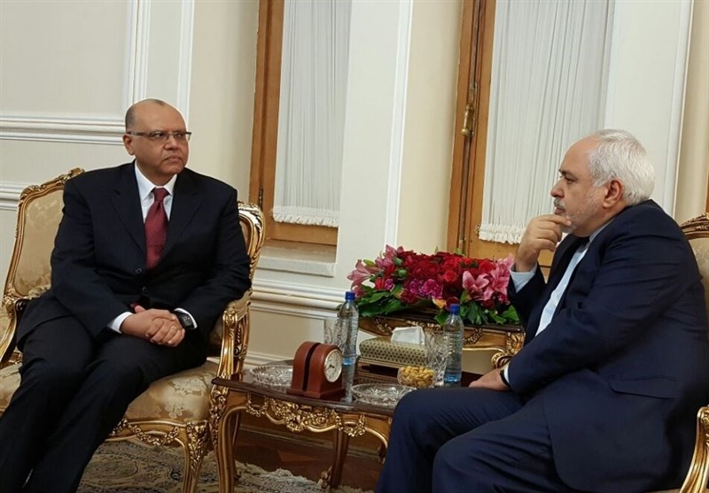 دیدار رئیس جدید دفتر حافظ منافع مصر با ظریف