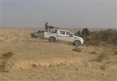 التیفور