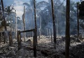 دولت میانمار مسئول مستقیم آتش زدن منازل مسلمانان روهینگیاها