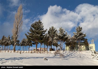 الثلوج فی مدینة ارومیة شمال غربی ایران