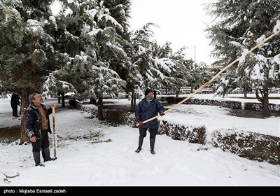 الثلوج فی مدینة ارومیة شمال غربی ایران