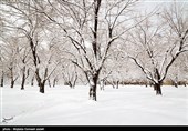 غرب و شمال استان اصفهان سفیدپوش شد/ ثبت بیشترین بارش برف در گلپایگان