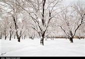 بارش برف در ارومیه