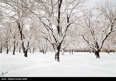 الثلوج فی مدینة ارومیة شمال غربی ایران