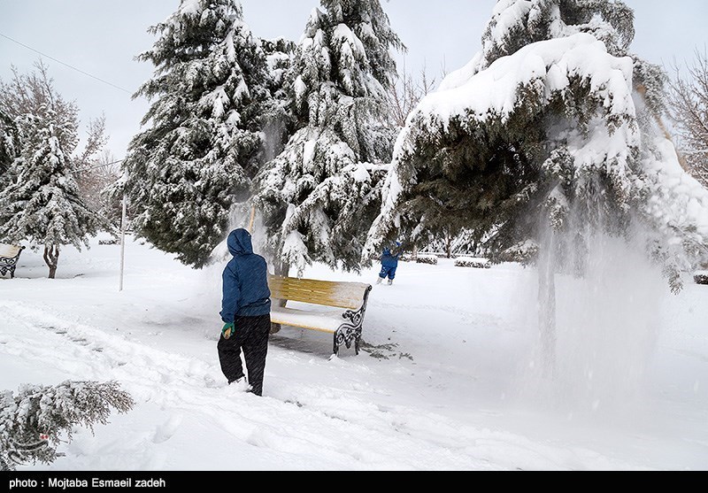 بارش 30 سانتی‌متری برف در شهمیرزاد/ برف سراسر استان سمنان را فراگرفت