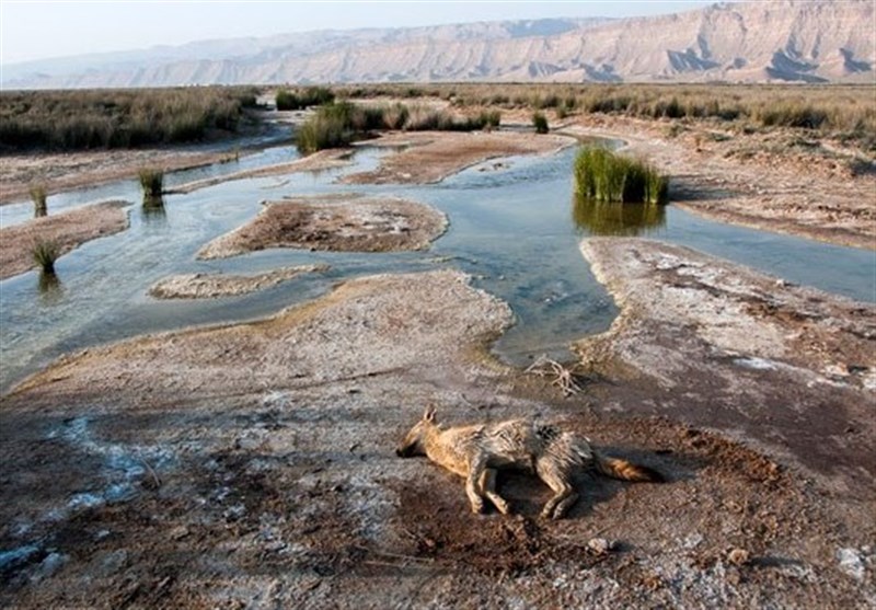 استفاد‌‌‌ه بی‌رویه منابع آب و تالاب‌های مرد‌‌‌ه