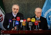 دیدار و کنفرانس خبری مشترک یوکیا آمانو و علی‌اکبر صالحی