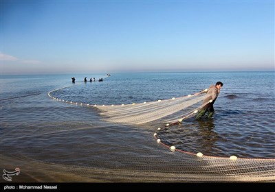 شبه جزیرة میانکاله فی بحر قزوین شمالی ایران